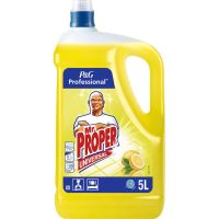 Detergenti pentru pardoseli