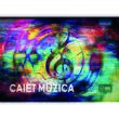 Caiet special spiralat Paperland PREMIUM, A4, 36 file, landscape, muzica, hartie 80 gr, coperta policromie