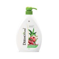 Sapun lichid cu pompita Dermomed, Aloe Melogrando, 1000 ml