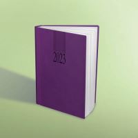 Agenda Herlitz Tucson 2023, format A5, datata, 352 file, mov