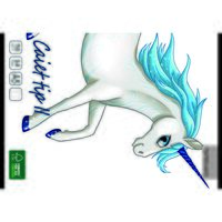 Caiet special Paperland PREMIUM, tip II, 24 file, 80 gr, coperta policromie