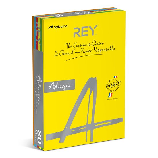 Hartie copiator color REY ADAGIO MIX INTENS A4, 80 g, 5 X 100 coli intens