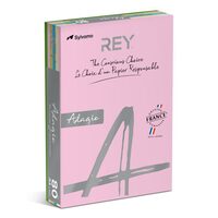 Hartie copiator color REY ADAGIO MIX PASTEL A4, 80 g, 5 X 100 coli pastel