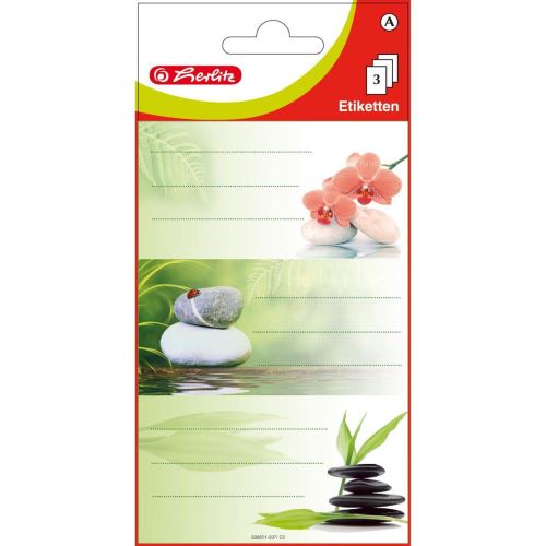 ETICHETE SCOLARE HERLITZ CAMP ROCK SET 9 