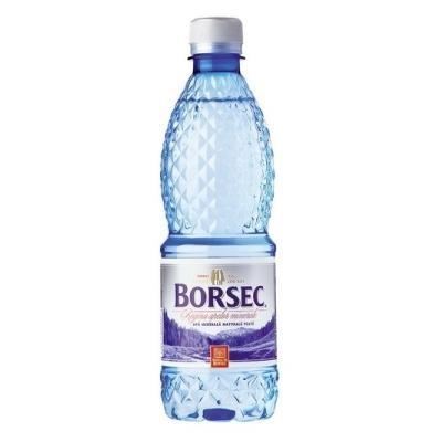 BORSEC apa plata 500 ml, bax 12 x Pet