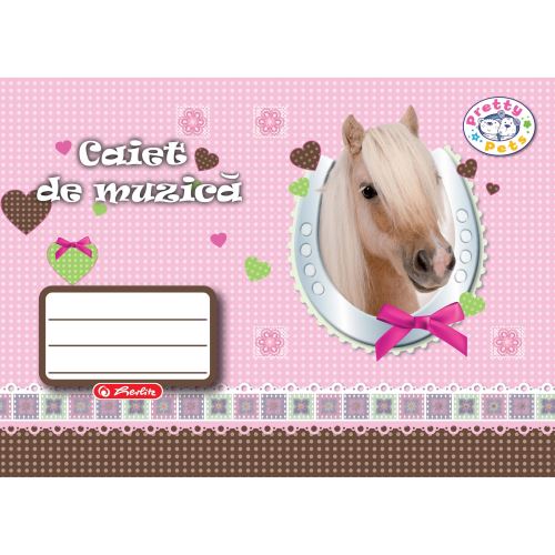 Caiet special Herlitz, 24 file, muzica, coperta policromie